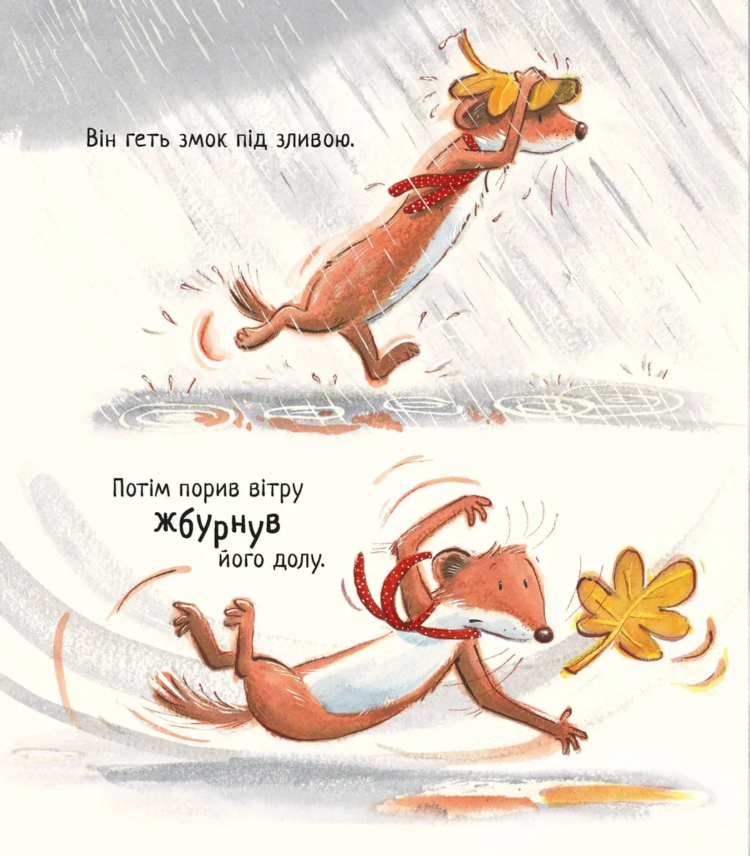 Хвилько — Сієра Ґавін, фото 7