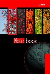 Книга в твердій обкладинці А4 96арк. ДКВ-6 Бріск ДКВ-6