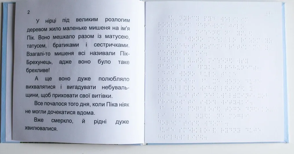 Книги Брайлем. Брехливе мишеня — Оксана Демченко, фото 6