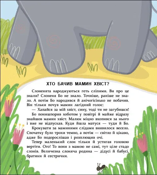 Книжка для читання. Хто бачив мамин хвіст? — Ганна Олійник, фото 4