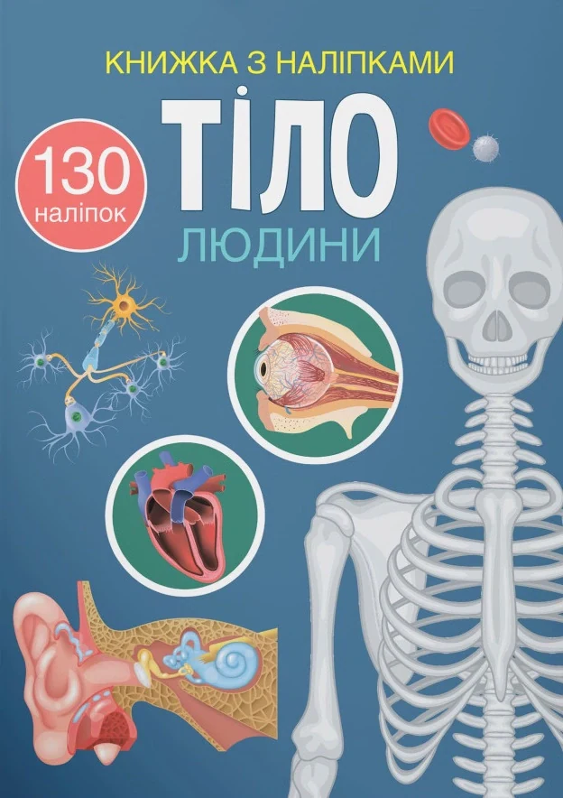 Книжка з наліпками. Тіло людини,