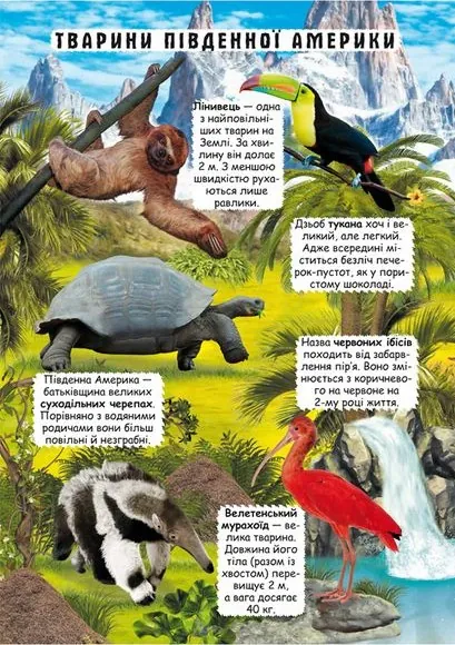 Книжка з секретними віконцями. Відкрий та дізнайся. Тварини планети Земля — Турбаніст Д., фото 5