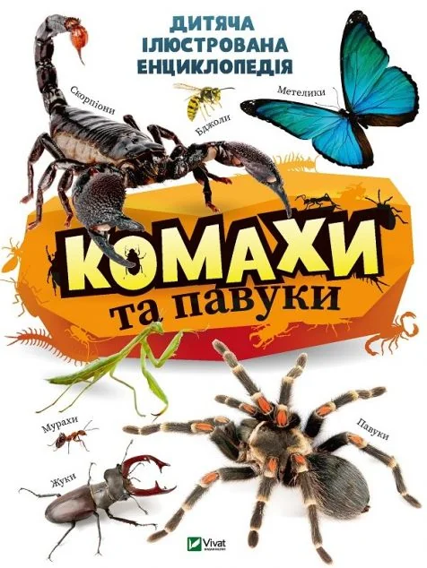 Комахи та павуки