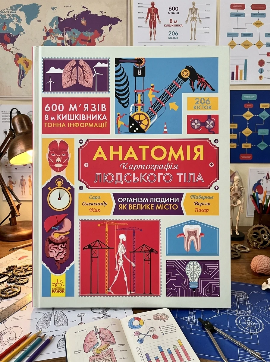 Крутезна інфографіка : Анатомія — Наука та психологія