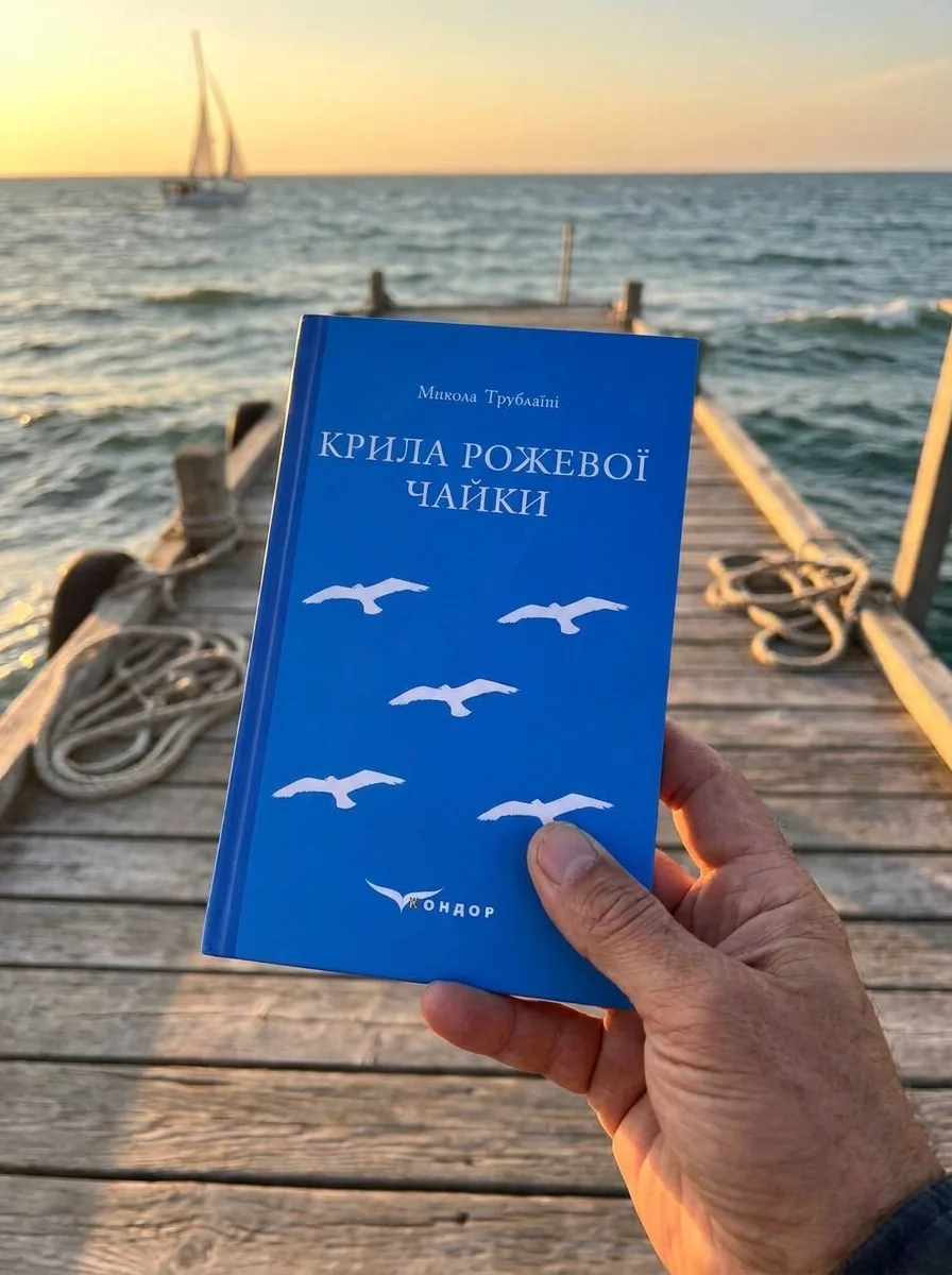 Крила рожевої чайки. Вибране — Микола Трублаїні, обкладинка