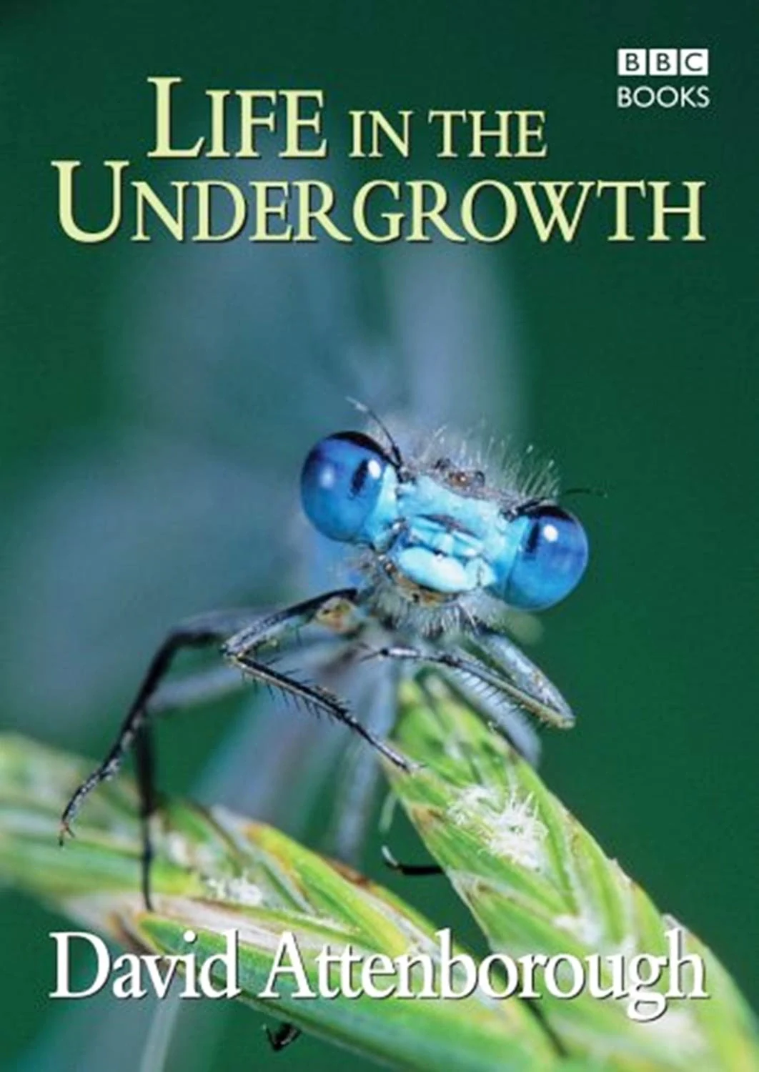 Life in the Undergrowth
