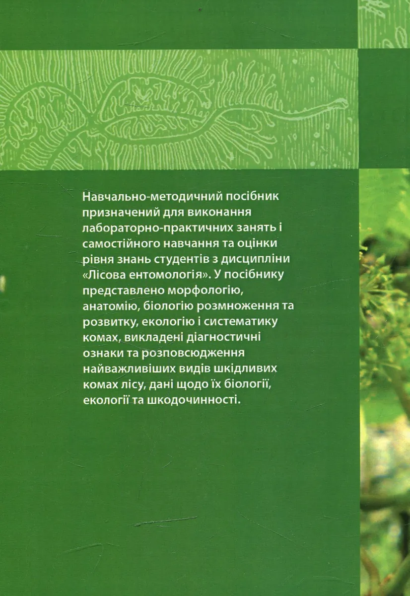 Лісова ентомологія — Марченко А.Б., фото 4