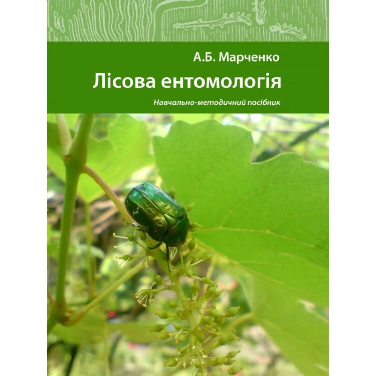 Лісова ентомологія