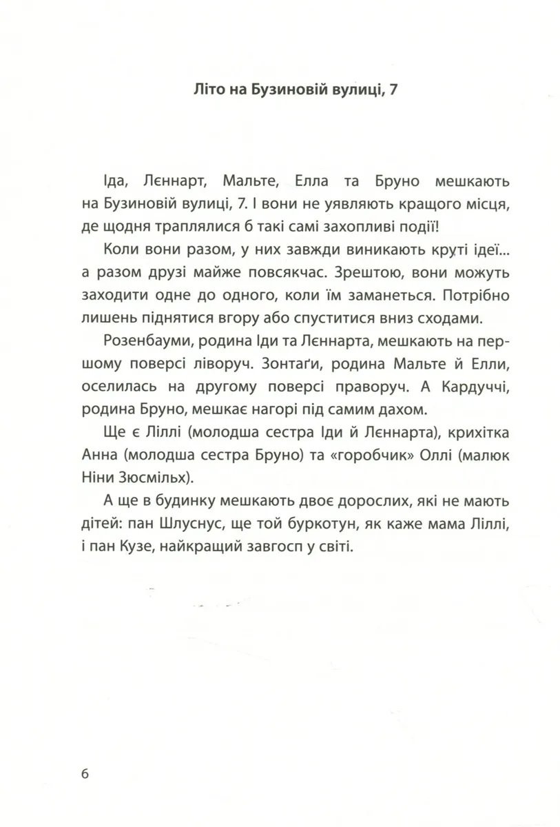Рік на Бузиновій вулиці. Літо на Бузиновій вулиці — Мартіна Баумбах, фото 6