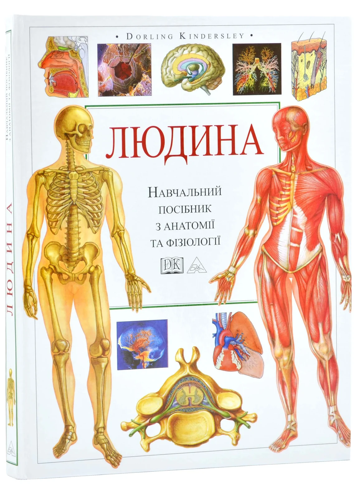 Людина. Навчальний атлас з анатоміі і фізіологіі