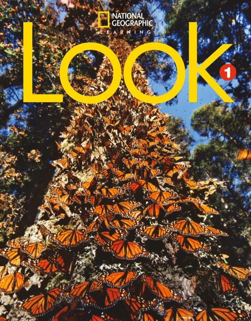 Look. Level 1. Workbook with Online Practice British English