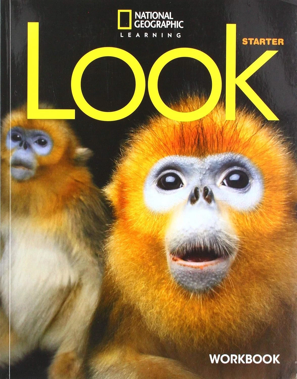 Look  Starter Workbook British English