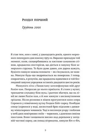 Ловець повітряних зміїв — Халед Хоссейні, фото 5