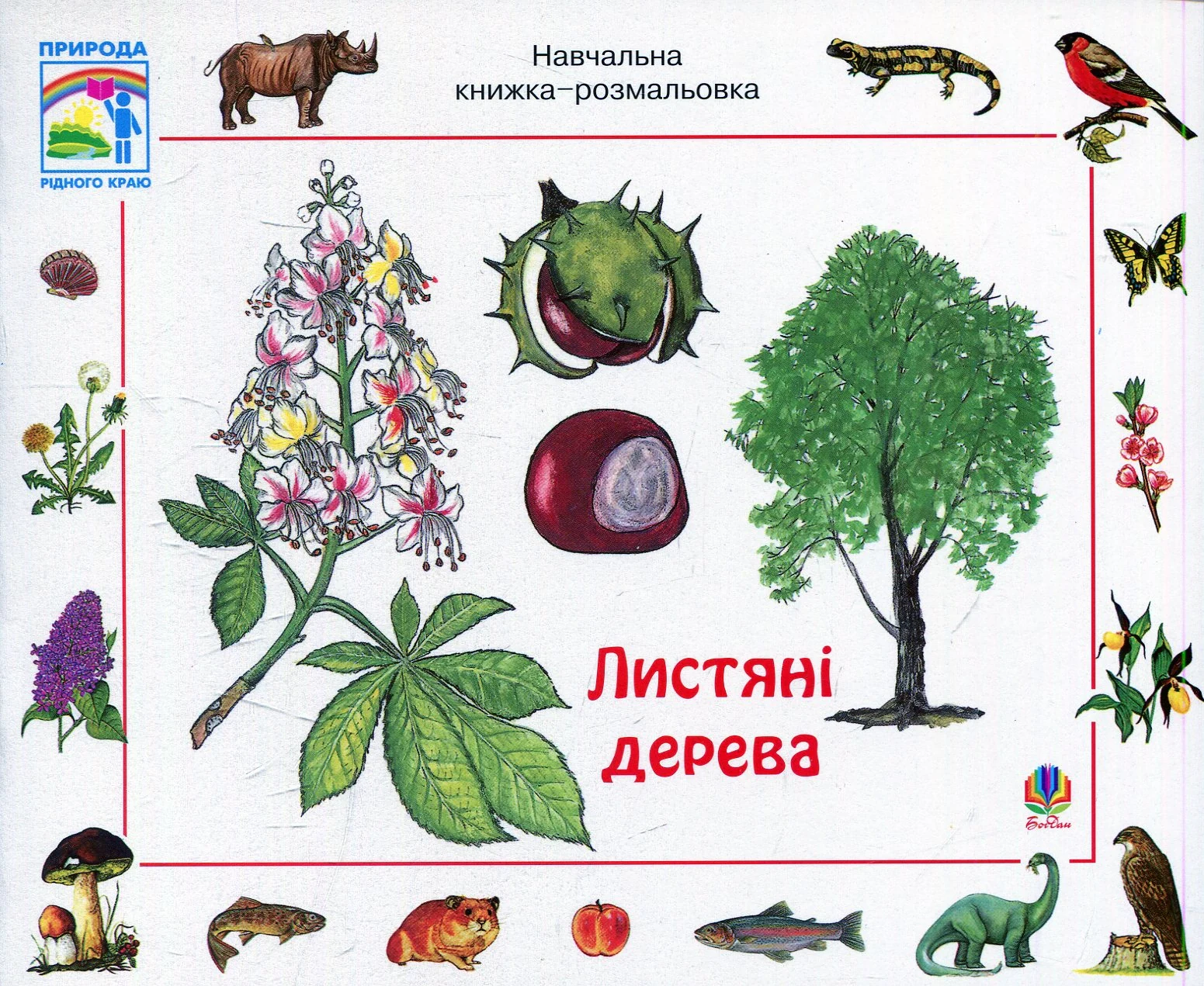 Листяні дерева. Навчальна книжка-розмальовка