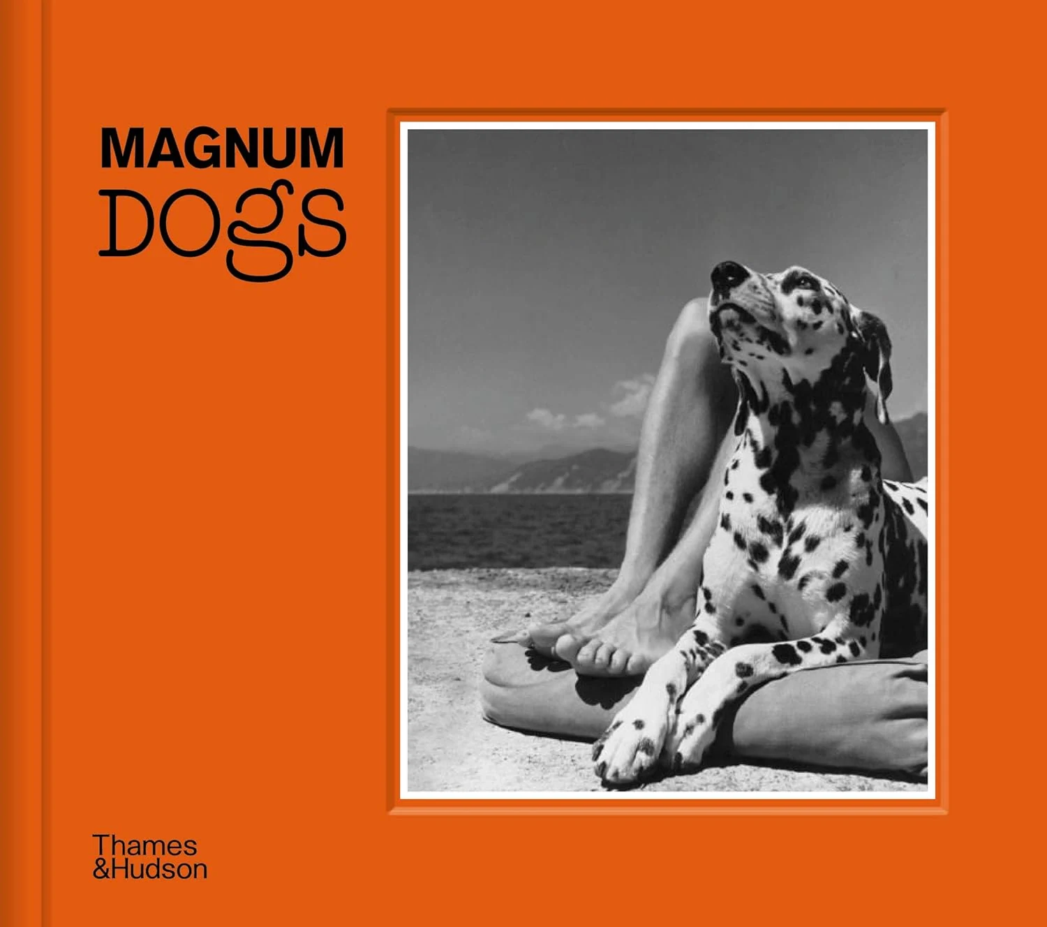 Magnum Dogs,