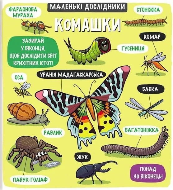 Маленькі дослідники. Комашки