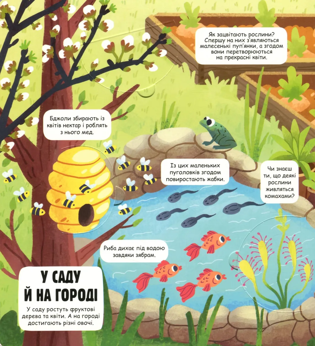Маленькі дослідники. Світ навколо мене — Анастасія Коровкіна, фото 6