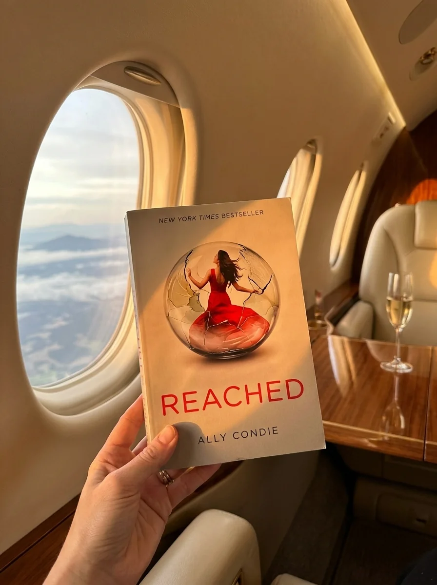 Matched. Reached. Book 3 — Книги