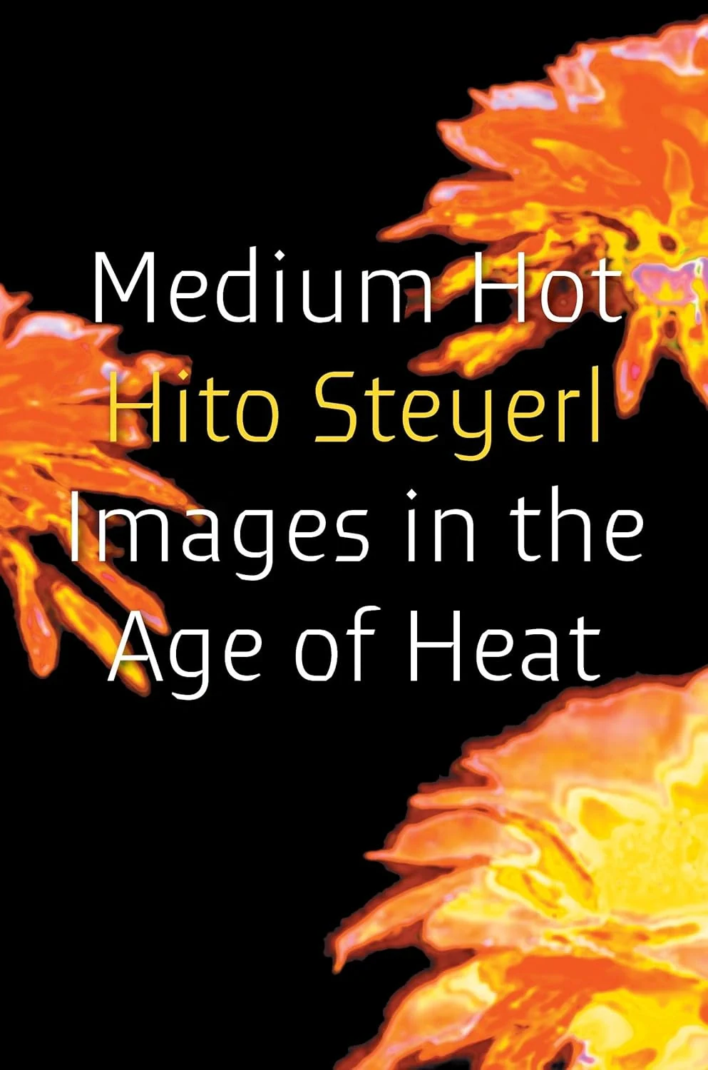 Medium Hot. Images in the Age of Heat