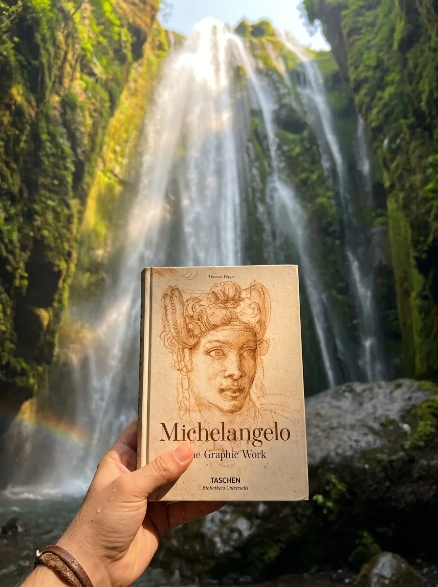 Michelangelo. The Graphic Work — Історія та публіцистика