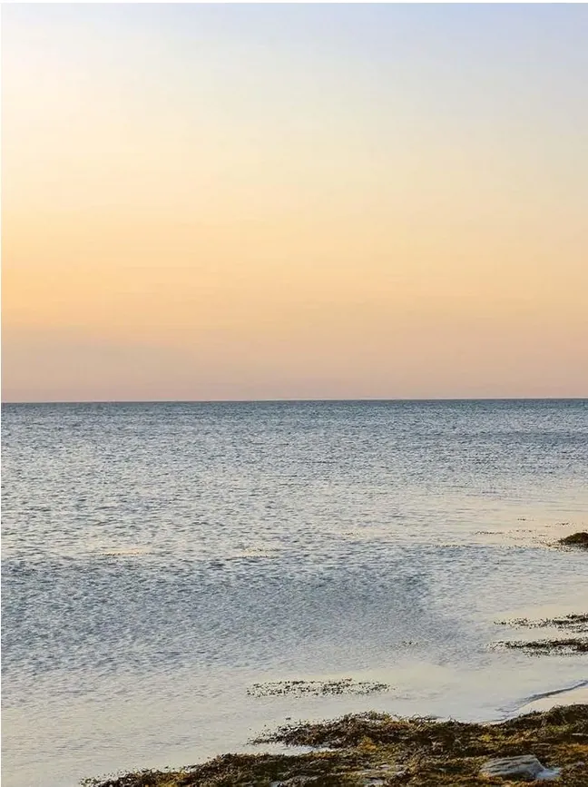 Midnight Sun. A Scandinavian Cookbook for Long Summer Days — Тріна Ганеман, фото 3