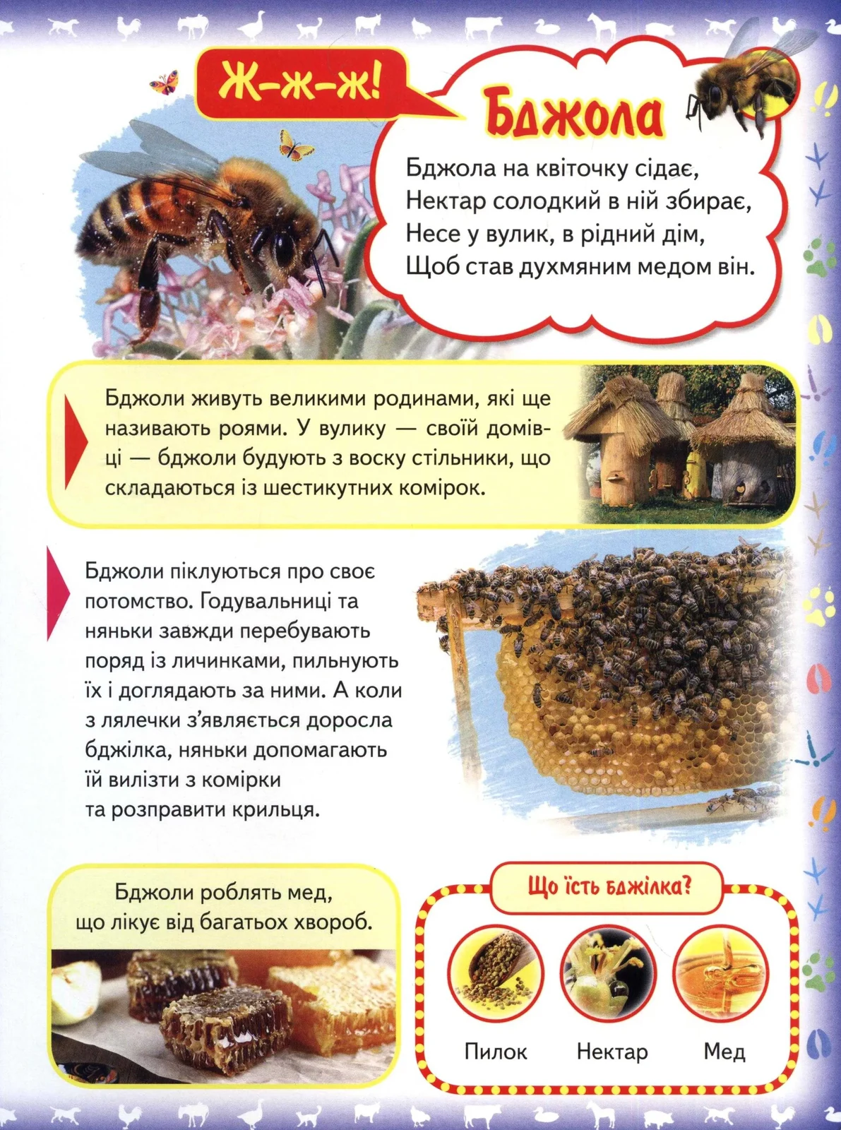 Моя перша книга Картонка А4 Про свійських тварин