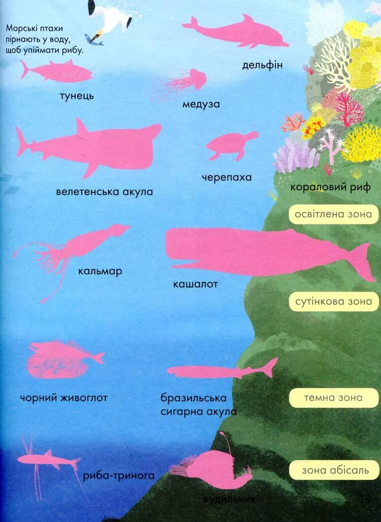 Моя перша книжка про природу — Керолайн Янг, фото 4