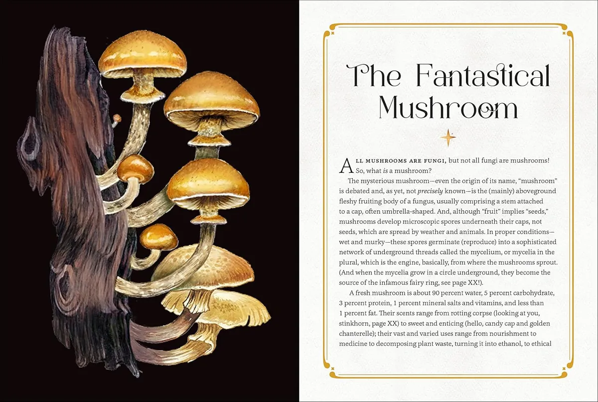 Mystical Mushrooms — Aurora Kane, фото 3