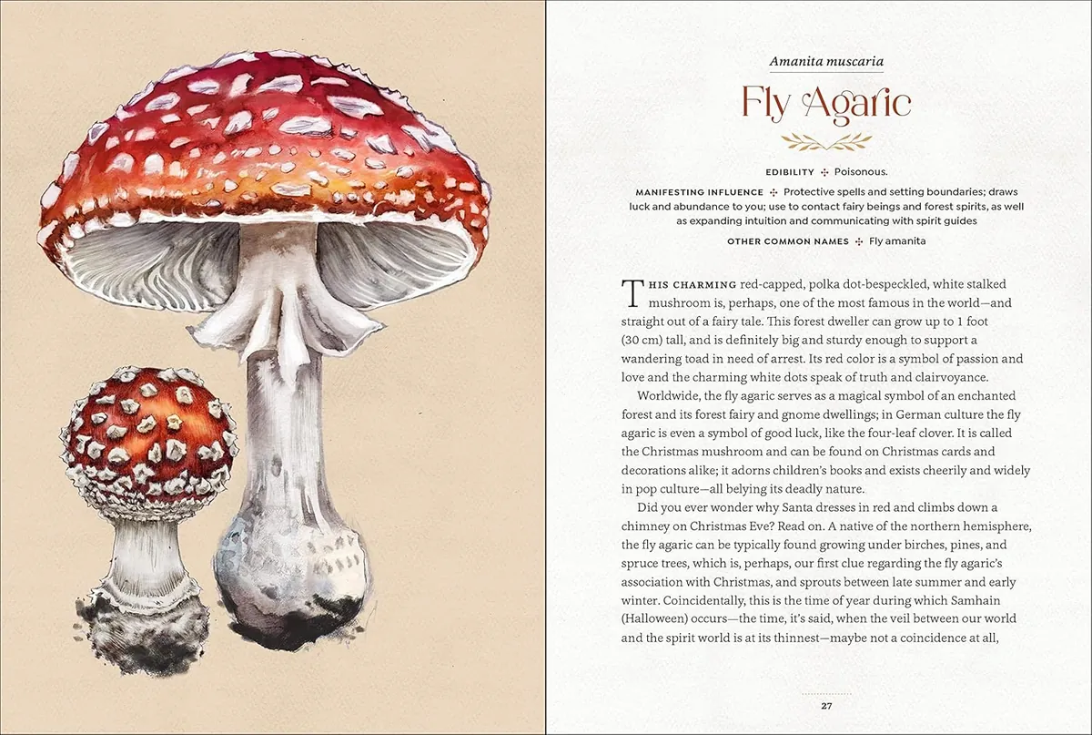 Mystical Mushrooms — Aurora Kane, фото 5