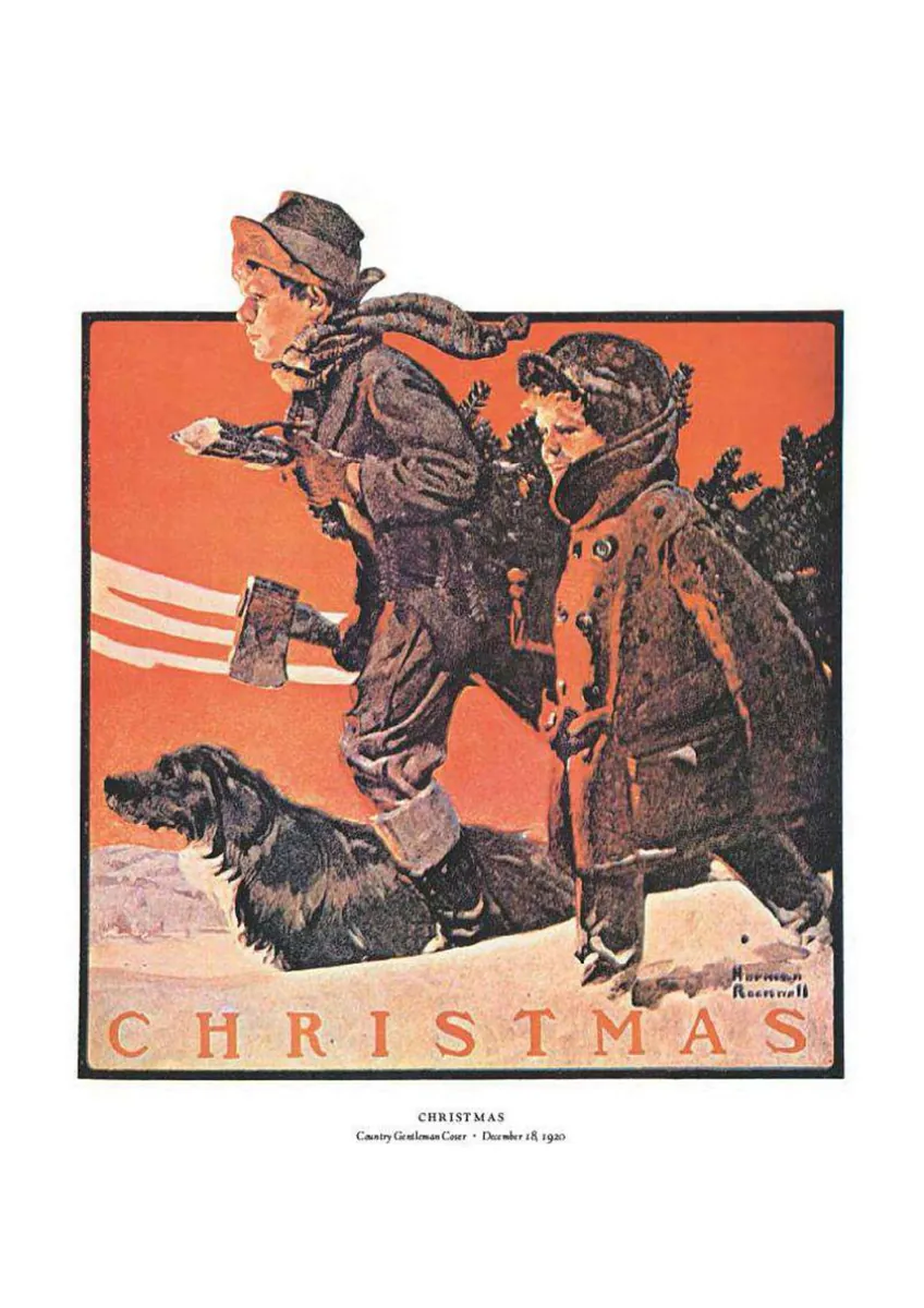 Norman Rockwell: 332 Magazine Covers — Крістофер Фінч, фото 5