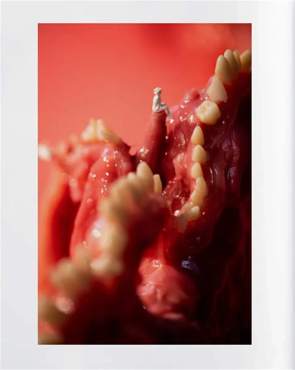 On Everyone's Lips. The Oral Cavity in Art and Culture — Андреас Бейтін, фото 6