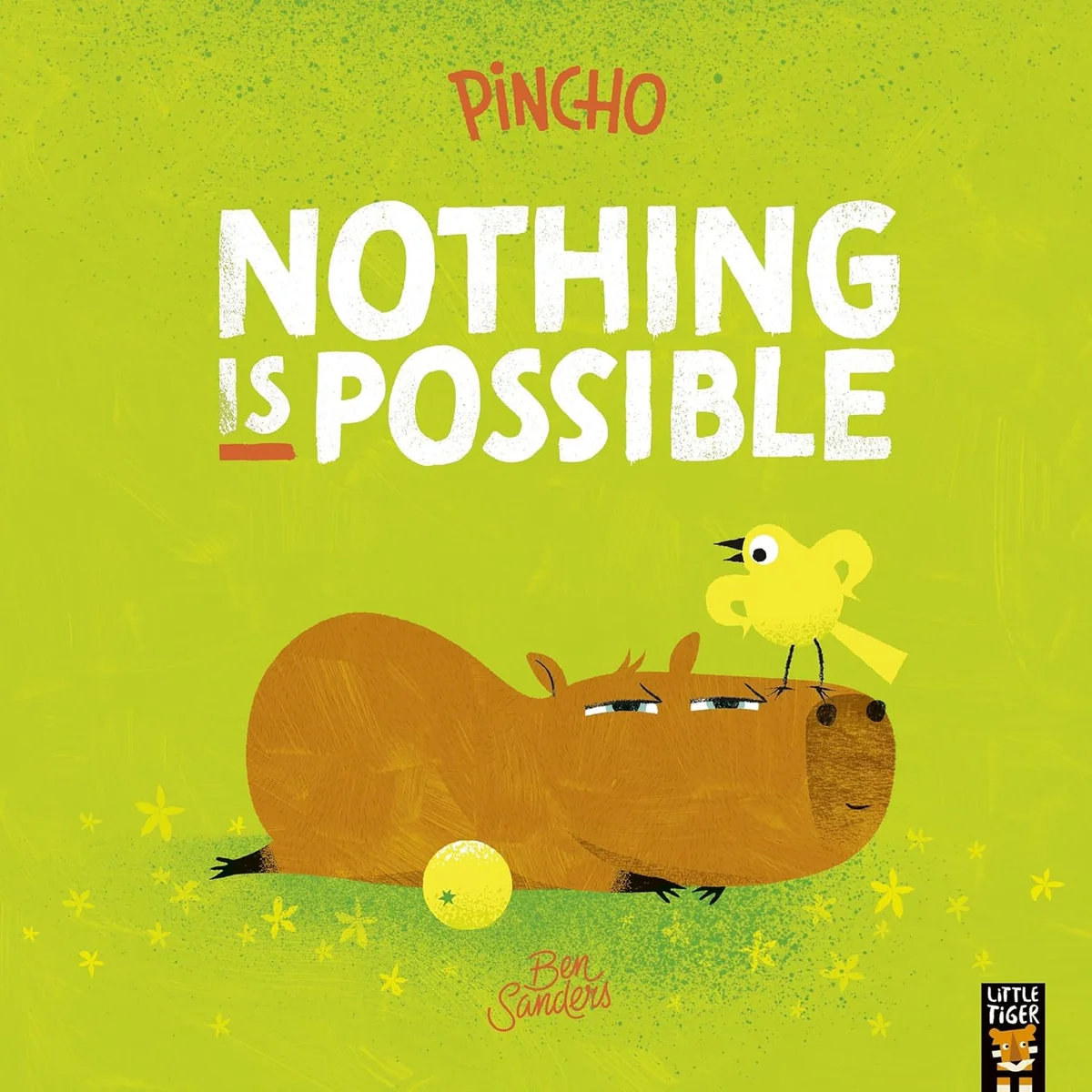 Pincho. Nothing Is Possible