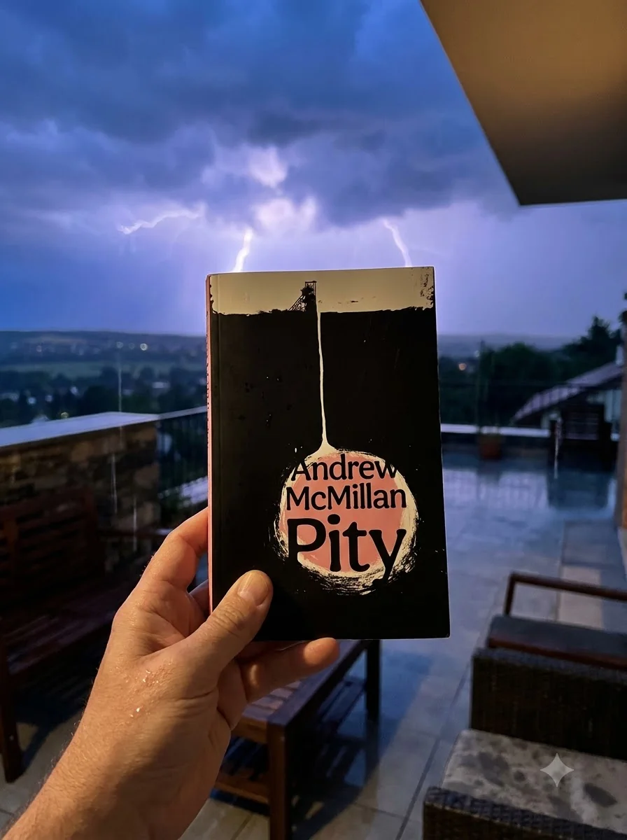 Pity — Andrew McMillan, обкладинка