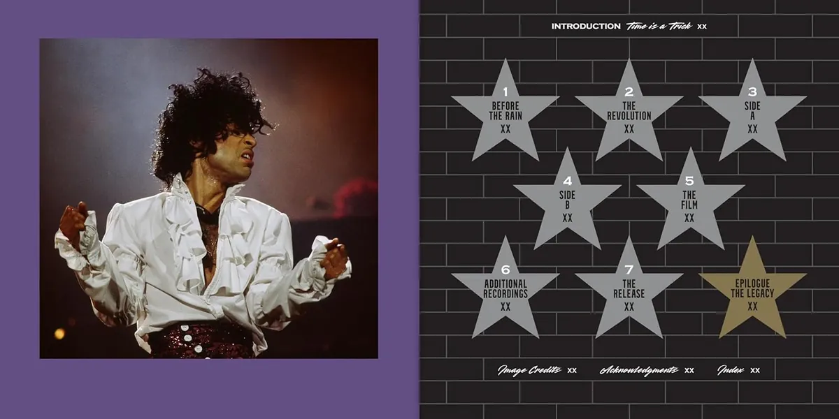 Prince and Purple Rain — Andrea Swensson, фото 4