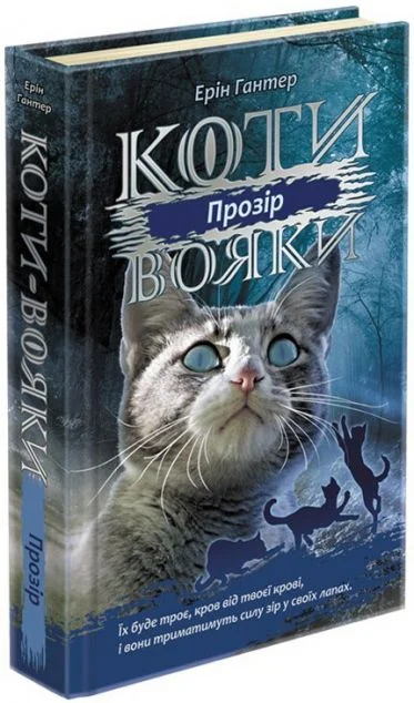 Прозір