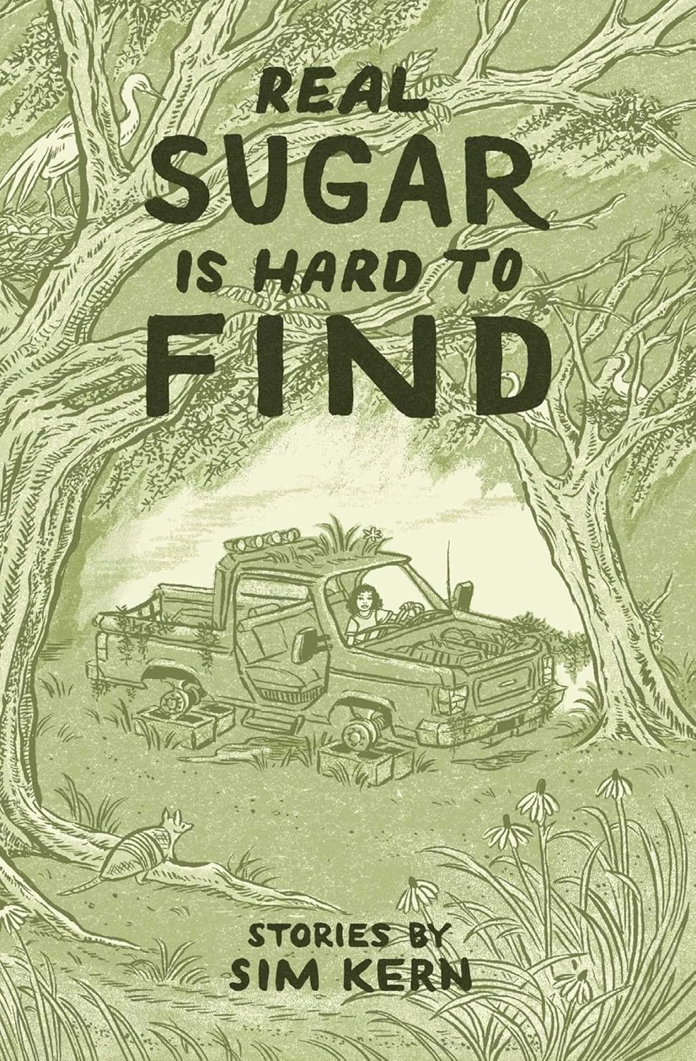 Real Sugar is Hard to Find: Stories