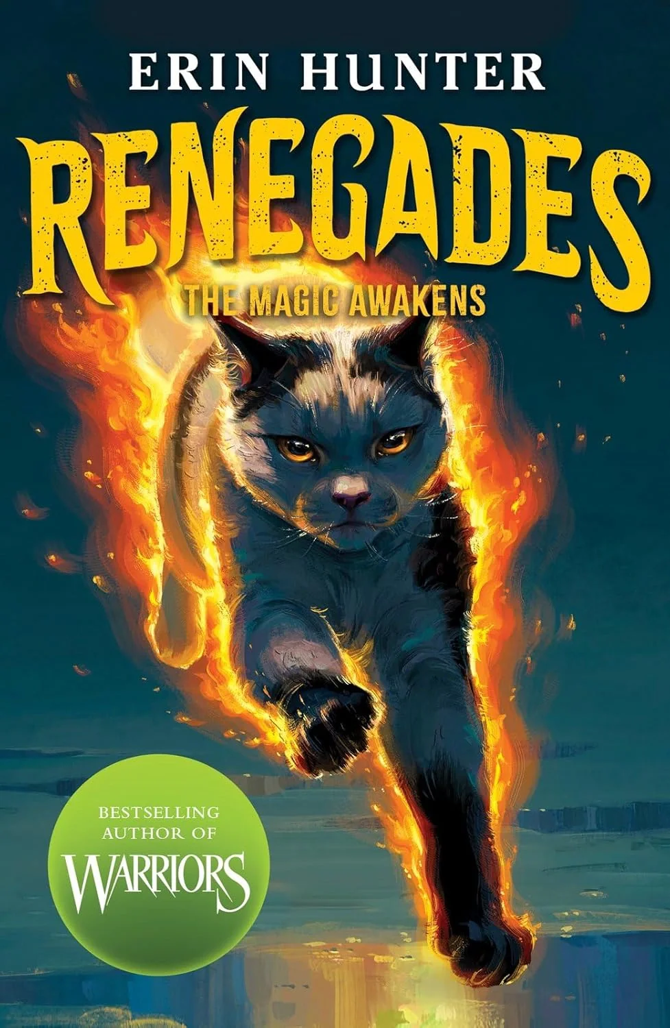 Renegades: The Magic Awakens. Book 1
