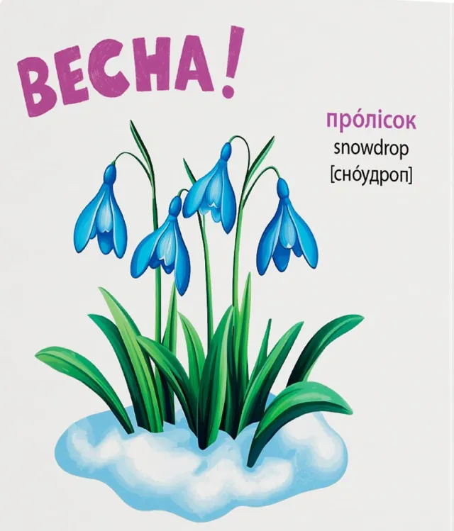 Розглядайка-розвивайка. Пори року — Катерина Столяренко, фото 5