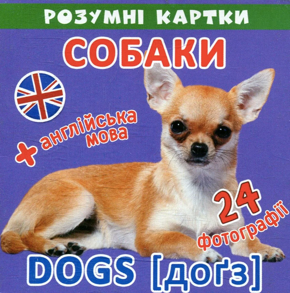 Розумні картки. Англійська мова. Собаки. 12 карток. 0+