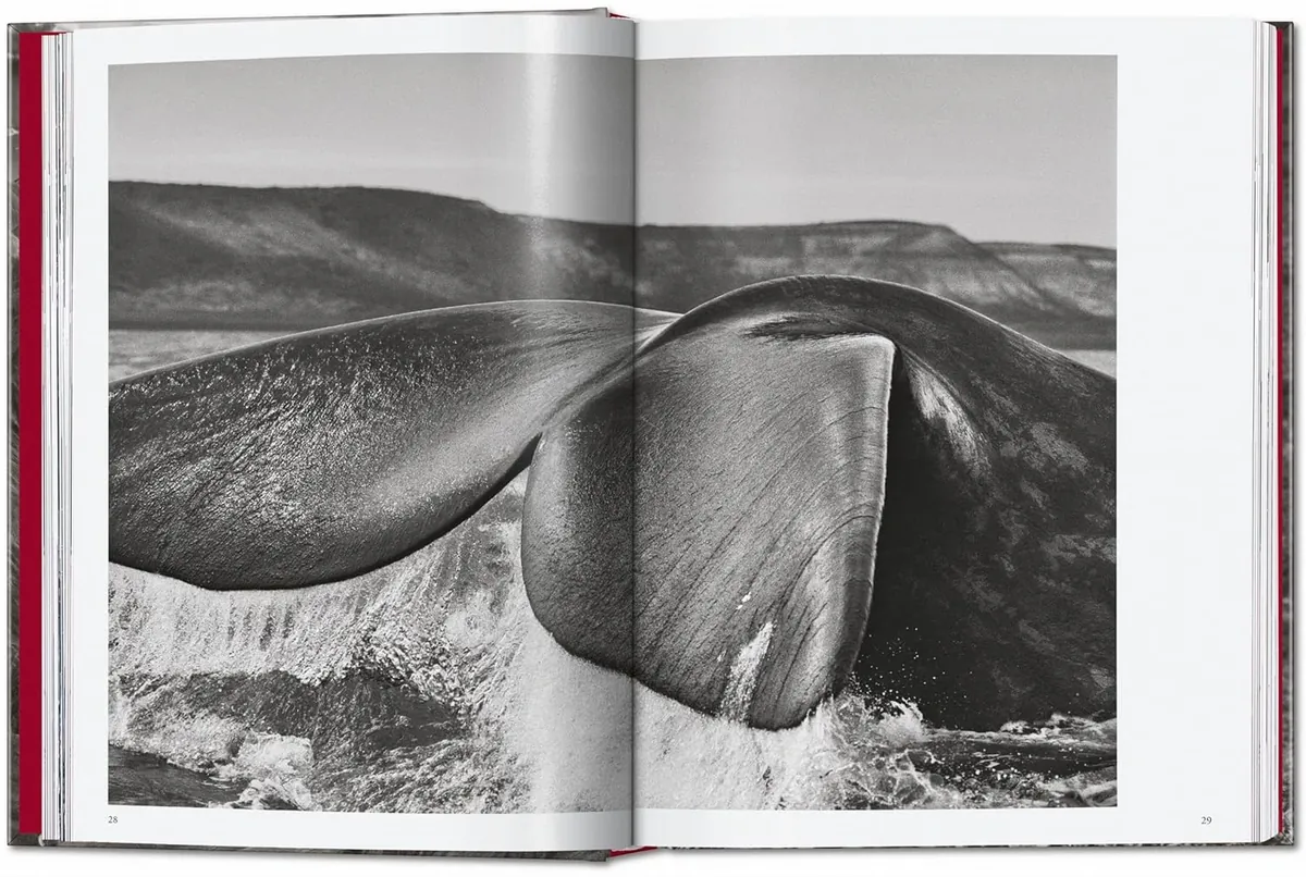Sebastiao Salgado. Genesis. 45th Edition, фото 5