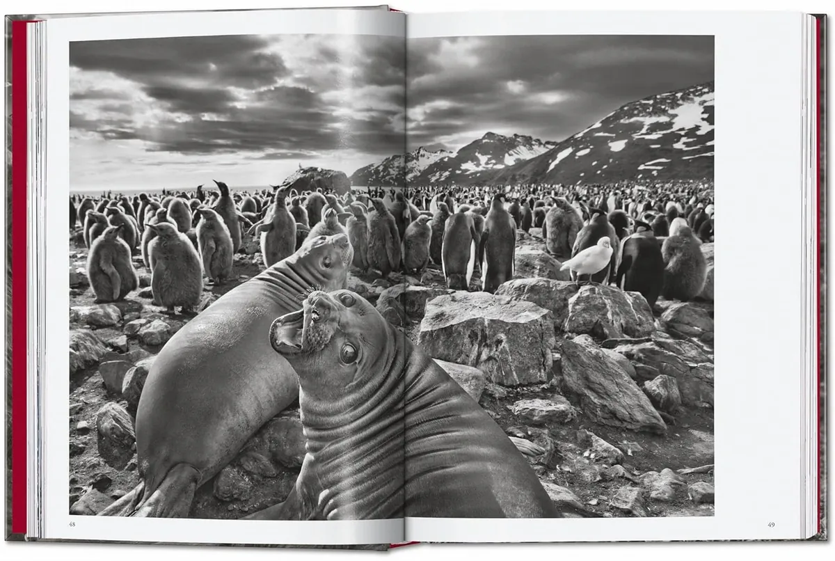 Sebastiao Salgado. Genesis. 45th Edition, фото 6