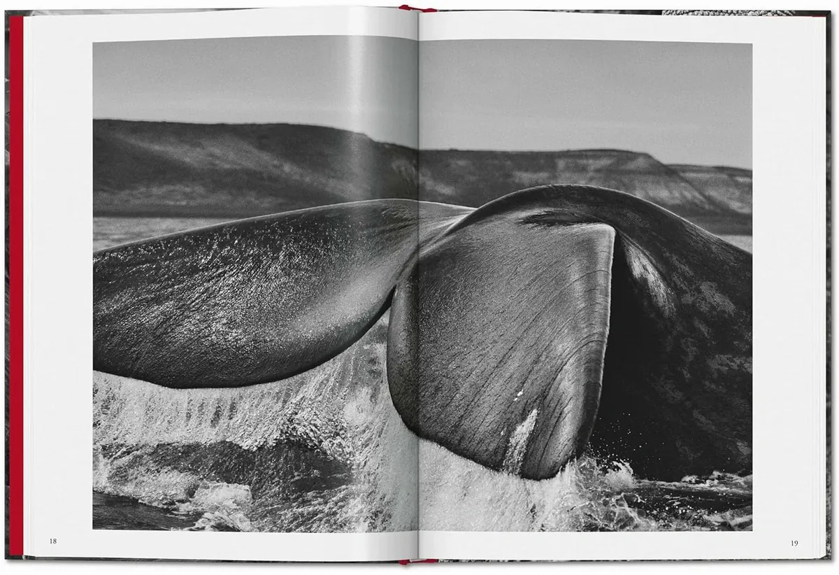 Sebastiгo Salgado. Genesis — Себастьян Сальгадо, фото 5