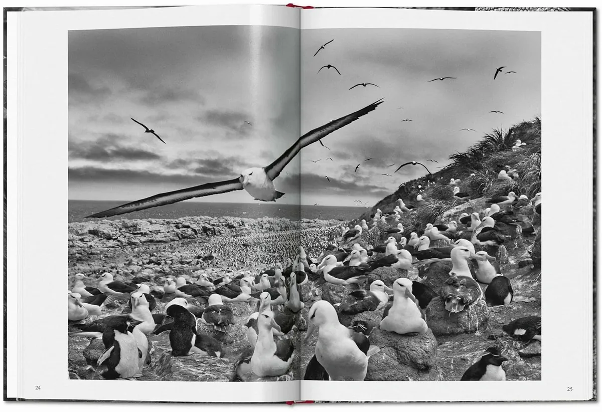 Sebastiгo Salgado. Genesis — Себастьян Сальгадо, фото 6