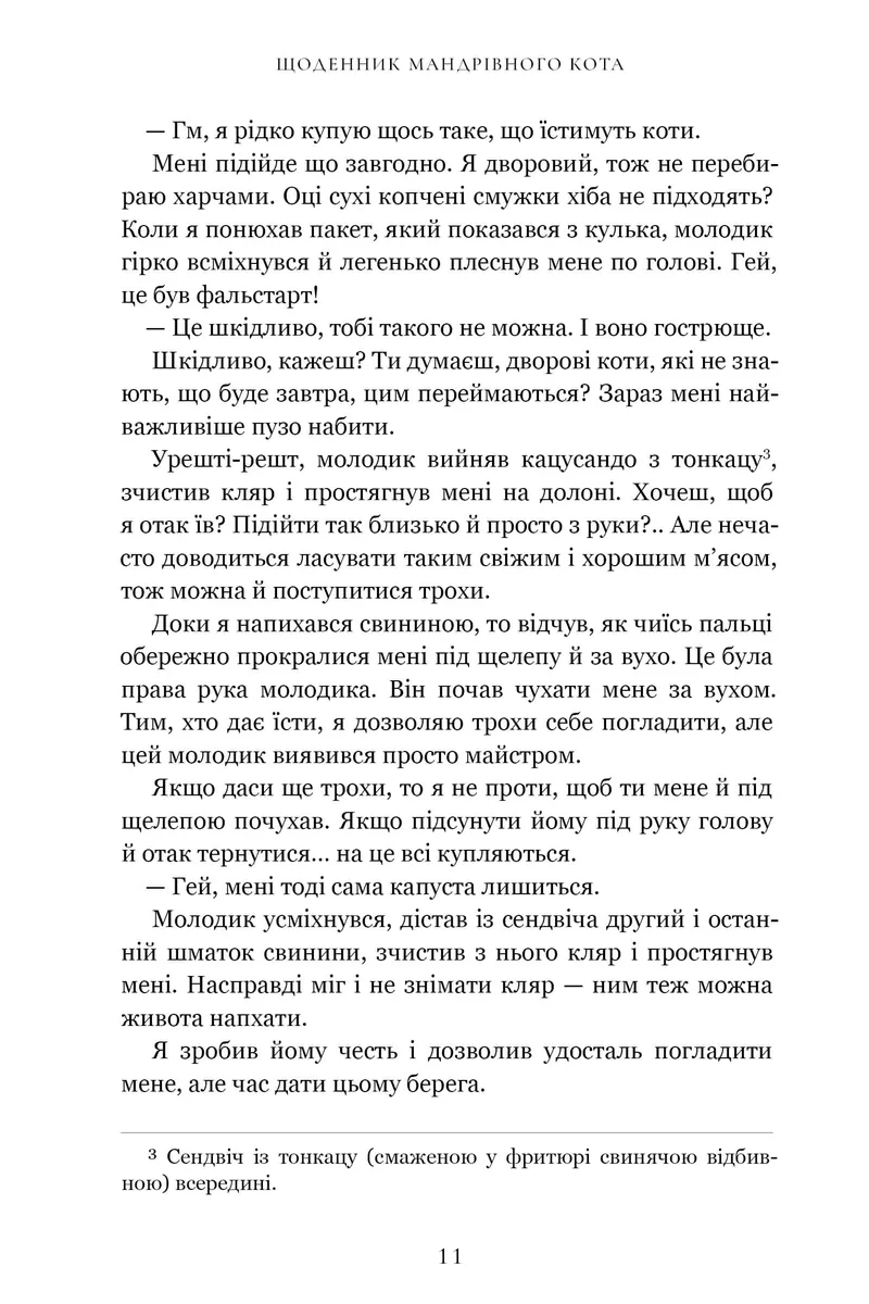 Щоденник мандрівного кота — Хіро Арікава, фото 6