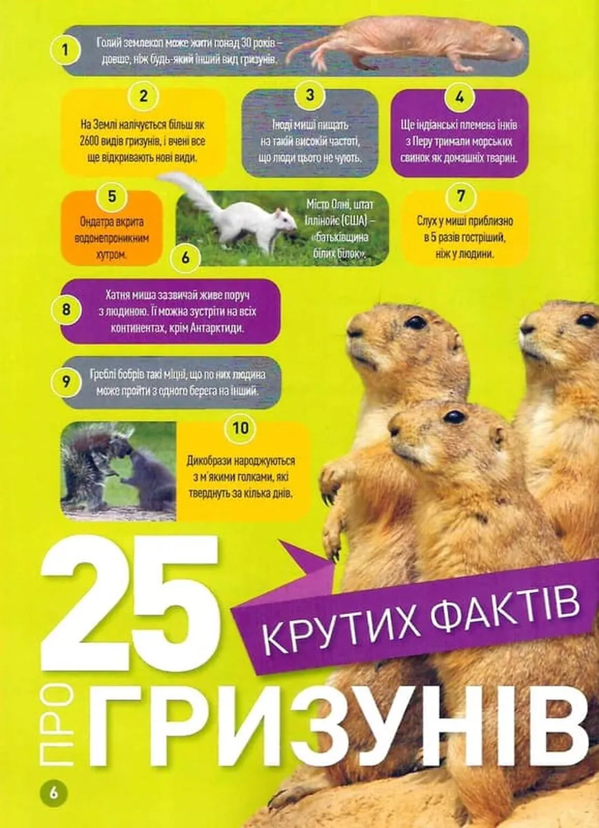 Шкряб! 100 цікавих фактів про гризунів, фото 5