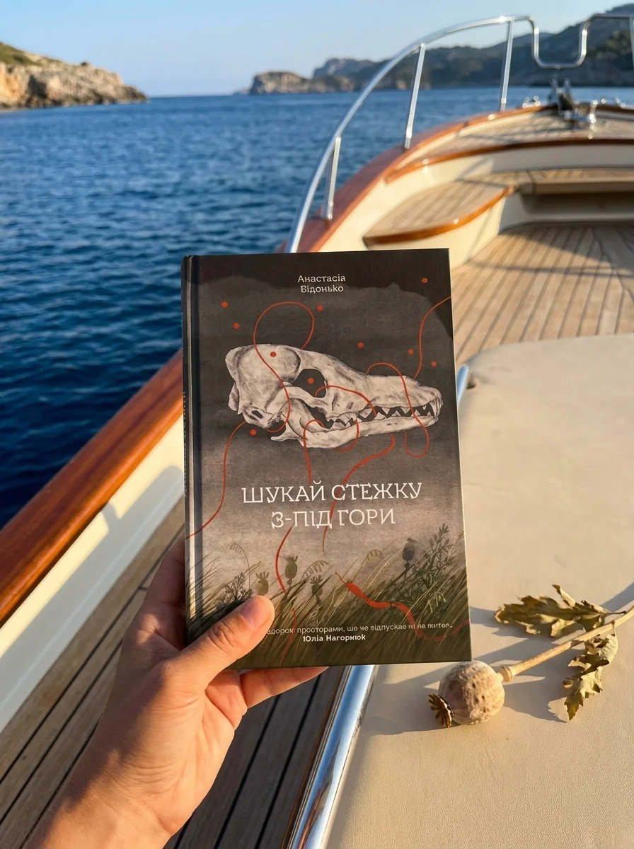 Шукай стежку з-під гори — Бідонько Анастасія, обкладинка