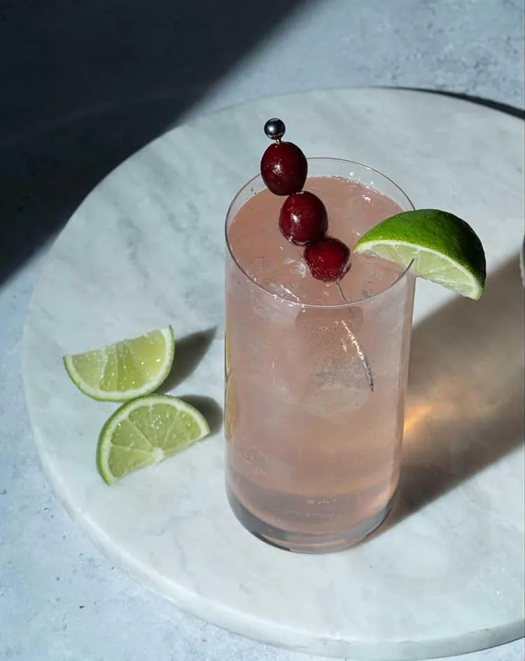 Sopranos: The Official Cocktail Book — Сара Гуальтьєрі, фото 3