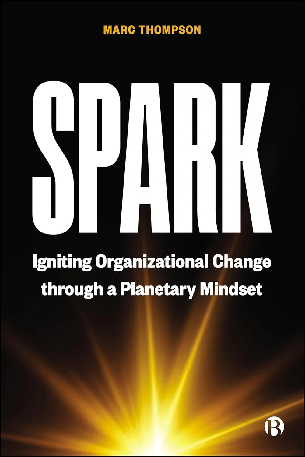 Spark. Igniting Organizational Change through a Planetary Mindset