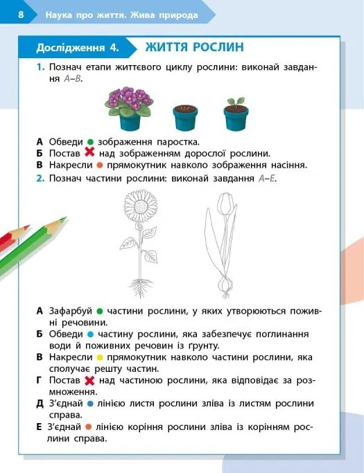 STEM-Старт. Зошит для учня. Наука про життя. 3 клас — Ірина Потапенко, фото 4