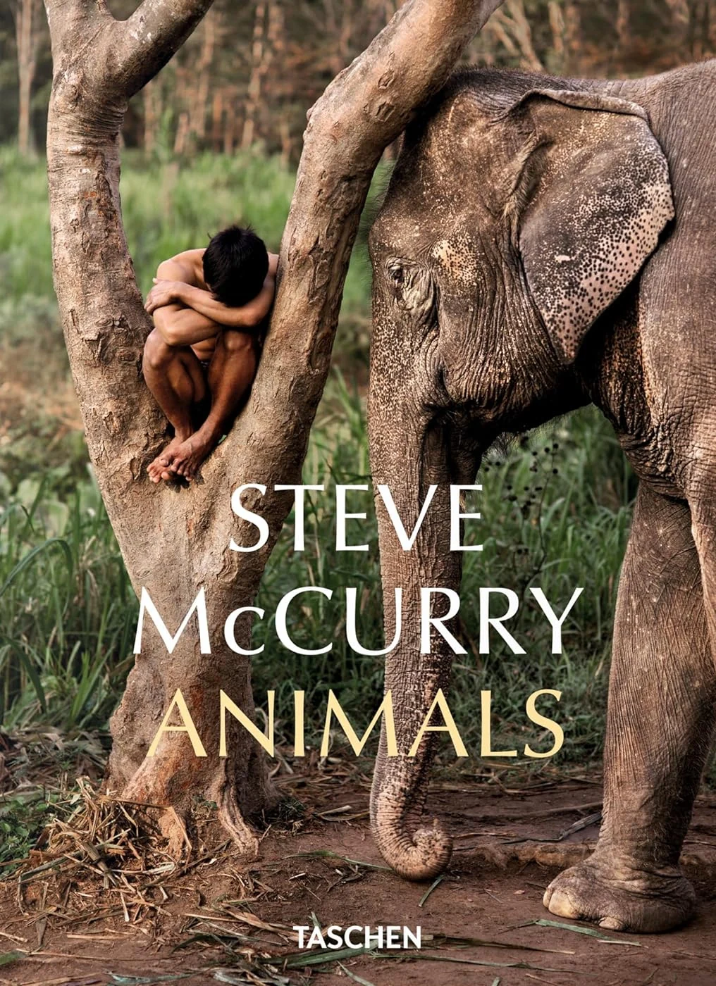Steve McCurry. Animals
